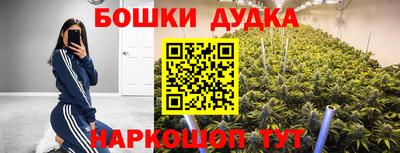 ALPHA PVP Моздок