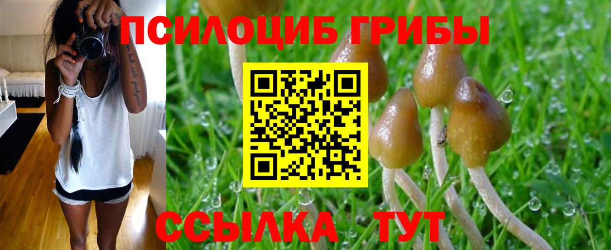 Великие Луки  Псилоцибиновые грибы Psilocybe  Вход с VPN 